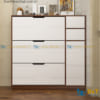 Tủ Giầy Thông Minh 1m TM11