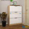 Tủ Giầy Thông Minh 80cm TM04